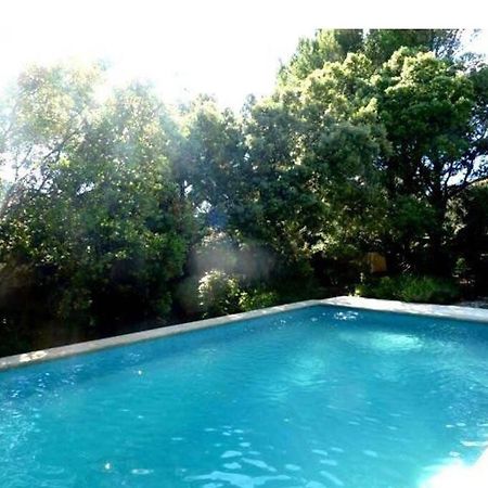 Studio En Rez-De-Jardin Arbore Avec Acces Piscine Et Clim Villeneuve-lès-Avignon Buitenkant foto