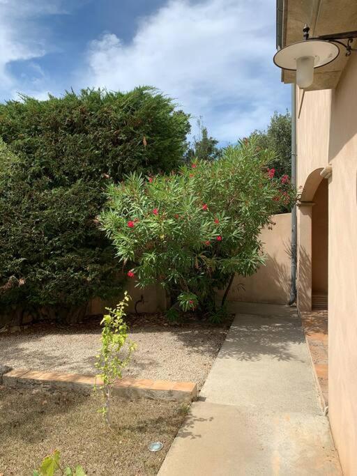 Studio En Rez-De-Jardin Arbore Avec Acces Piscine Et Clim Villeneuve-lès-Avignon Buitenkant foto