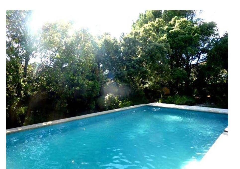 Studio En Rez-De-Jardin Arbore Avec Acces Piscine Et Clim Villeneuve-lès-Avignon Buitenkant foto